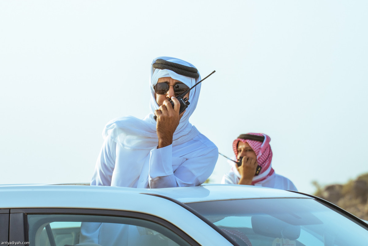 100 ألف مطية